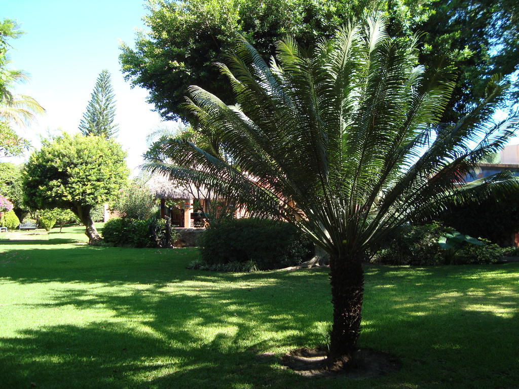 Hotel Casa Marly à Xochitepec Extérieur photo